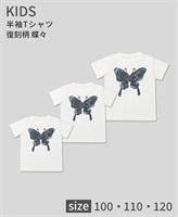 【web予約限定】THE MASH　復刻柄　半袖Tシャツ（キッズ）　蝶々【4月初旬お渡し】