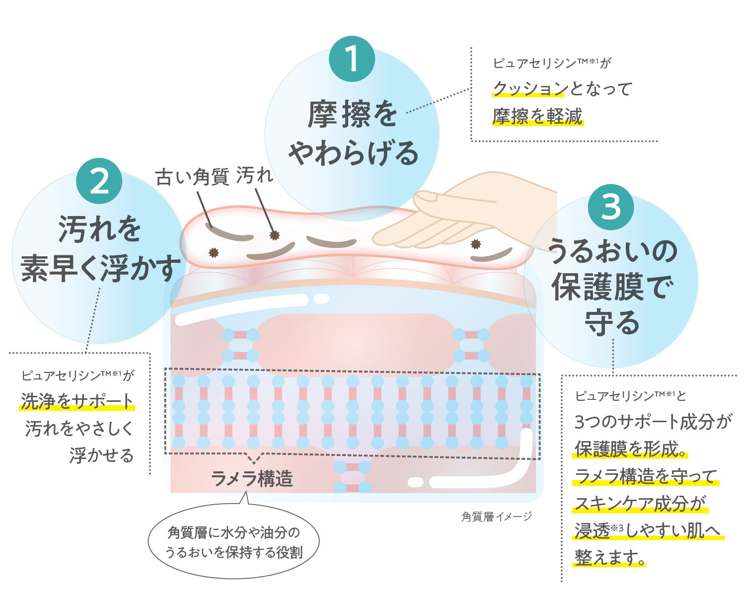 うるおい高めるクレンジング＆洗顔 誕生