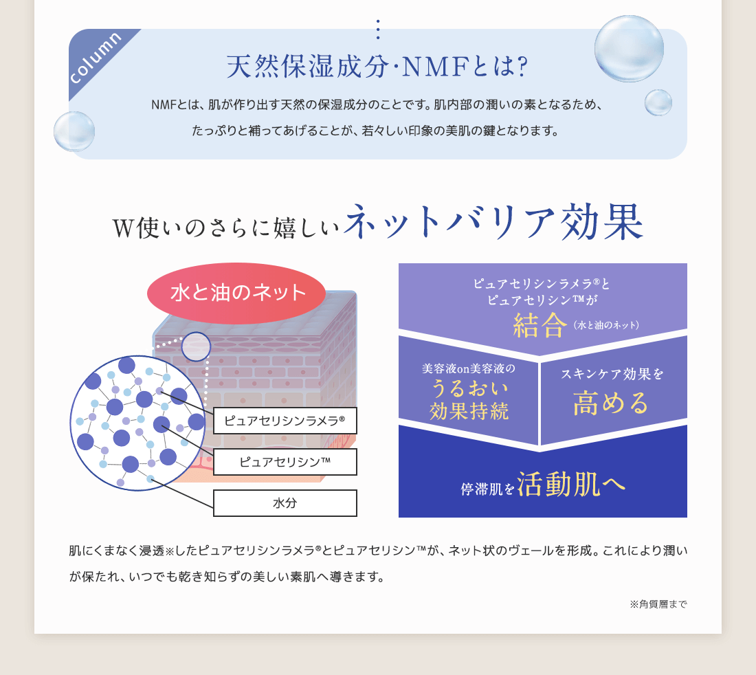 W使いのさらにうれしいネットバリア効果