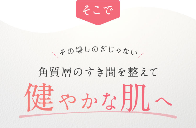 角質層のすき間を整えて健やかな肌へ