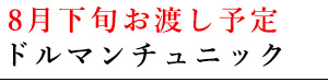 ラグランチュニック