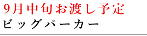 ビッグパーカー