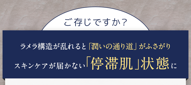 ご存じですか？ラメラ構造が乱れるとケアが届かない