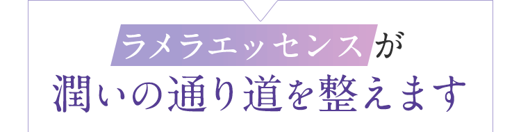 ラメラエッセンスが潤いの通り道を作る